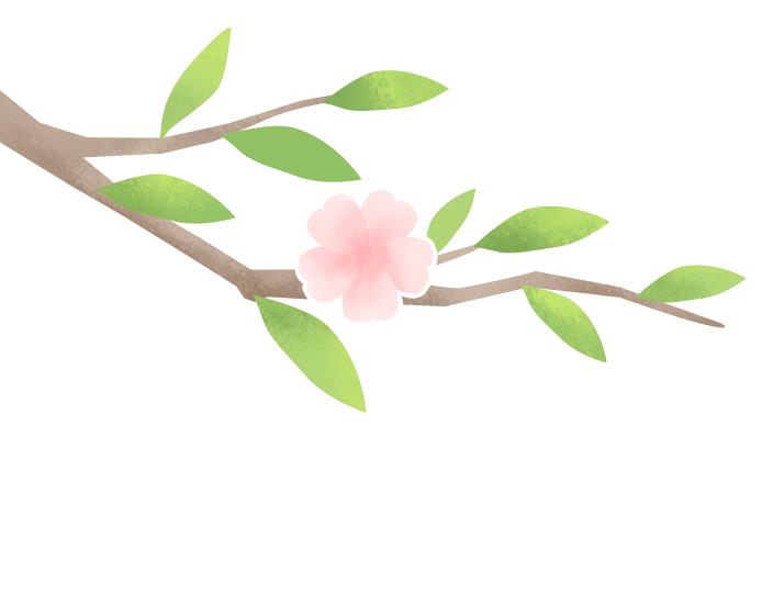 DƬ